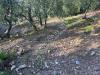 Terreno Edificabile in vendita a Cipressa in strada nuova - 09, Foto 9