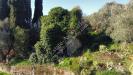 Rustico in vendita a Bordighera in via penne nere - 10, Foto 10