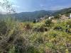 Terreno Edificabile in vendita a San Remo in strada sant antonio - 03, Foto 3