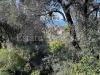 Terreno Edificabile in vendita a Bordighera in via coggiola - 06, Foto 6