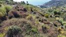 Terreno Edificabile in vendita a Bordighera - 10, Foto 10
