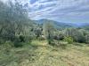 Terreno Edificabile in vendita a Perinaldo in strada santa giusta - 03, Foto 3