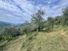 Terreno Edificabile in vendita a Perinaldo in strada santa giusta - 04, Foto 4