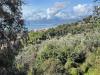 Terreno Edificabile in vendita a Bordighera in via coggiola - 10, Foto 10