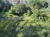 Terreno Edificabile in vendita a Bordighera in via coggiola - 03, Foto 3