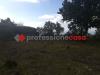 Terreno Agricolo in vendita a Belpasso - 03, 03.jpg