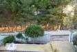 Casa vacanza in affitto con giardino a Manduria - 05