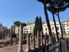Appartamento in affitto a Roma in corso vittorio emanuele ii - 09, Foto 9