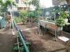 Appartamento in vendita con giardino a Valverde in via del santuario - centrale - 02