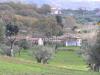 Terreno in vendita a Lamezia Terme - 02, foto Terreno agricolo in Vendita