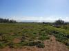 Terreno Agricolo in vendita a Iglesias - 04