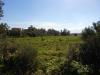 Terreno Agricolo in vendita a Iglesias - 08