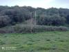Terreno Agricolo in vendita a Iglesias - 02