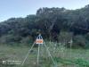 Terreno Agricolo in vendita a Iglesias - 03