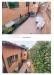 Appartamento in vendita con giardino a Buggiano - 02