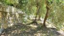Casa indipendente in vendita con giardino a Pompeiana in via castellaro - 07, Foto 7