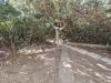 Appartamento in vendita con terrazzo a San Vincenzo - 05
