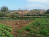 Terreno Agricolo in vendita a Giulianova in case di trento - 05, Foto 5