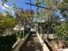 Casa vacanza in vendita con giardino a Carovigno - colacurto - 09