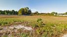 Terreno Agricolo in vendita nuovo a Melendugno - 10