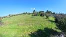 Terreno Edificabile in vendita con giardino a Castrignano de' Greci - 05