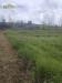 Rustico in vendita con giardino a Offida in contrada san lazzaro 29 - 04, Foto 4