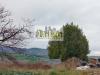 Appartamento in affitto a Castignano in via santa giuliana 11 - 03, Foto 3