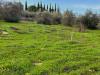 Terreno Agricolo in vendita a Caltanissetta in via dei gelsi di niscima 1 - 03, WhatsApp Image 2023-12-19 at 18.54.04 (2)- 1.jpeg