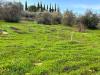 Terreno Agricolo in vendita a Caltanissetta in via dei gelsi di niscima 1 - 04, WhatsApp Image 2023-12-19 at 18.54.04 (2).jpeg