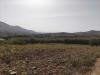 Terreno Agricolo in vendita a Castellammare del Golfo - 04, IMG-20231019-WA0031.jpg