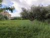 Villa in vendita con terrazzo a Castellammare del Golfo - 05, IMG_20250418_091351.jpg