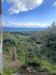 Villa in vendita con giardino a Trabia - 03, WhatsApp Image 2026-05-20 at 14.45.30