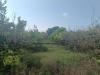 Terreno Agricolo in vendita a Partinico - 03, 90f434c9-5547-46af-8942-3b7b842ac359