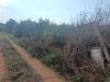 Terreno Agricolo in vendita a Partinico - 05, 405a07df-1e38-408f-8dc6-c73fe2666d69