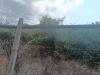 Terreno Agricolo in vendita a Partinico - 06, 4339be63-65fb-43b6-88af-067c7a129a81