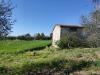 Terreno Agricolo in vendita a Alviano - 02, IMG_20210424_173101.jpg