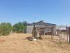 Casa indipendente in vendita con giardino a Alviano in via campo della fiera 60 - scalo - 02, 20220725_103219.jpg