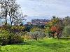 Terreno Edificabile in vendita a Lugnano in Teverina in via del cardino - 02, terreno edificabile umbria lugnano (8).jpg