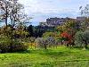Terreno Edificabile in vendita a Lugnano in Teverina in via del cardino - 06, terreno edificabile umbria lugnano1.jpg