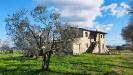 Rustico in vendita con giardino a Lugnano in Teverina in vocabolo pescara 67 - 02, IMG_20230321_160216.jpg