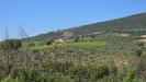 Casa indipendente in vendita con terrazzo a Montecchio in via pilli snc - 02, tenuta agricola (27).jpg