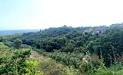 Casa indipendente in vendita con giardino a Orvieto in strada comunale di fossatello - 03, VILLA CAMPAGNA ORVIETO (6).jpg