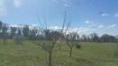 Terreno Agricolo in vendita a Lugnano in Teverina in via san francesco - 06, 20180321_105203.jpg