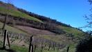 Terreno Agricolo in vendita a Lugnano in Teverina - 02, WP_20150211_12_37_01_Pro__highres.jpg