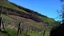 Terreno Agricolo in vendita a Lugnano in Teverina - 04, WP_20150211_12_37_09_Pro__highres.jpg