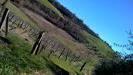 Terreno Agricolo in vendita a Lugnano in Teverina - 05, WP_20150211_12_37_14_Pro.jpg
