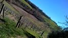 Terreno Agricolo in vendita a Lugnano in Teverina - 06, WP_20150211_12_37_14_Pro__highres.jpg