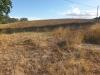 Terreno Agricolo in vendita a Lugnano in Teverina - 06, 20211005_165659.jpg