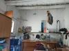 Magazzino in vendita da ristrutturare a Amelia in strada cecanibbio 9 - 02, 0e441b00-21b2-495d-a36a-595576d89f8e.jpeg