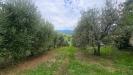 Casa indipendente in vendita da ristrutturare a Terni in strada di porcilvalle 88 - collescipoli - 03, refugio panoramico (6).jpg